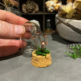 Handmade Curiosity- copper miniature mushroom / toadstool moss small cloche.