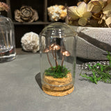 Handmade Curiosity- copper miniature mushroom / toadstool moss small cloche.