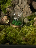 Sterling Silver Curiosity- mushroom / toadstool moss mini cloche.