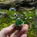 Sterling Silver Curiosity- snails and mushrooms / toadstools cloche mini glass dome