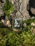 Sterling Silver Curiosity- ferns + mushroom / toadstool moss mini cloche.