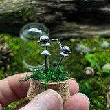 Sterling Silver Curiosity- snails and mushrooms / toadstools cloche mini glass dome