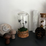 Sterling Silver Curiosity- snails and mushrooms / toadstools cloche mini glass dome