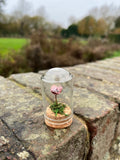 Handmade Curiosity- copper miniature poppy flower, moss small cloche.