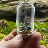 Sterling Silver Curiosity- fairy garden swing cloche mini glass dome