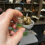 Handmade Curiosity- copper mushroom / toadstool moss mini cloche.