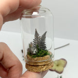 Sterling Silver Curiosity- hedgehog and fern scene mini glass dome