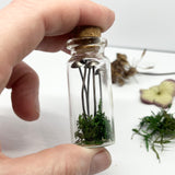 Sterling Silver Curiosity- mini mushrooms / toadstools in a bottle