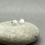 Sterling Silver Shell Stud Earrings