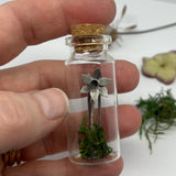 Sterling Silver Curiosity-  daffodil in a bottle