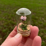 Handmade Curiosity- copper miniature poppy flower, moss small cloche.