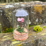 Handmade Curiosity- copper miniature poppy flower, moss small cloche.