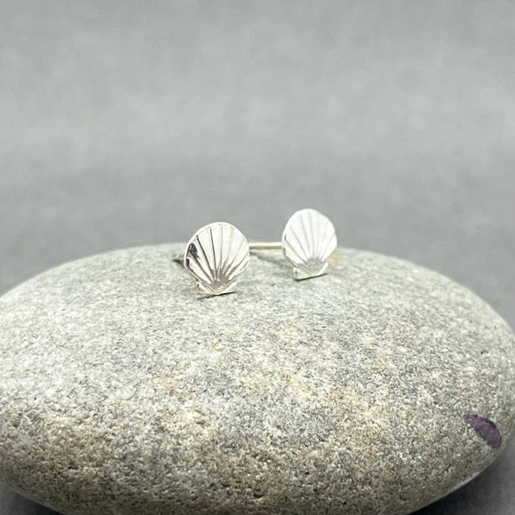 Sterling Silver Shell Stud Earrings