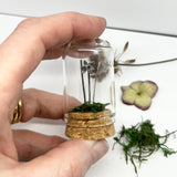Sterling Silver Curiosity- daffodil cloche mini glass dome