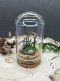 Sterling Silver Curiosity- garden 1 mini glass dome